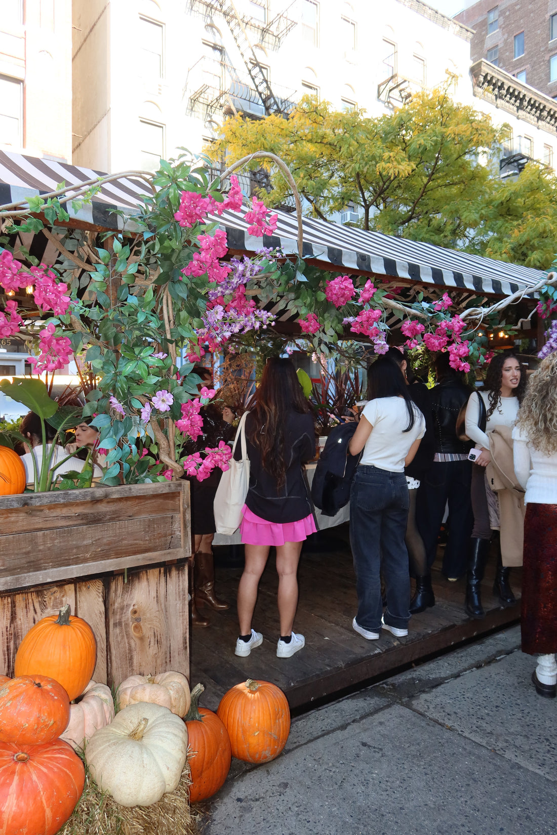 Tini Bit Older: A Celebration of Growth, Friendship, and Matcha at Isshiki LouLou