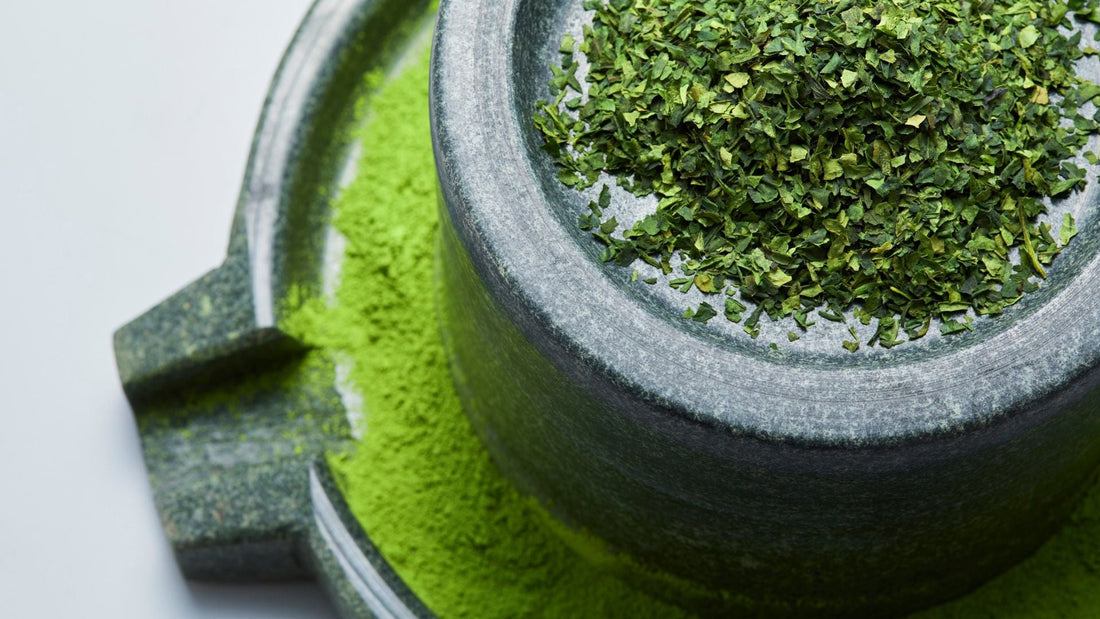 Why Ceremonial Matcha Is Becoming the New “Wellness Status Symbol” in America